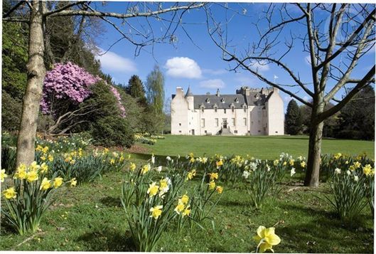 Click for large image