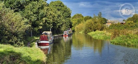 Click for large image