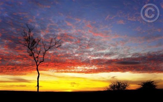 Click for large image