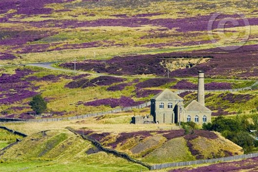 Click for large image