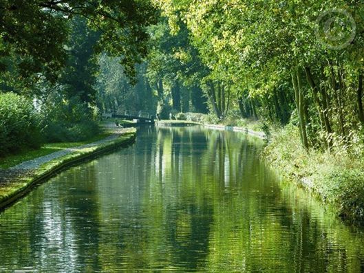 Click for large image