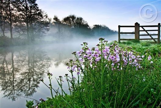 Click for large image