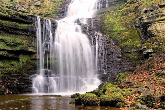 Click for large image