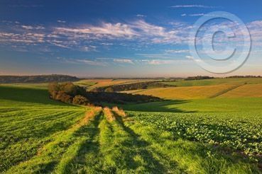 Click for large image