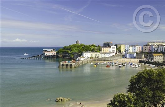 Click for large image