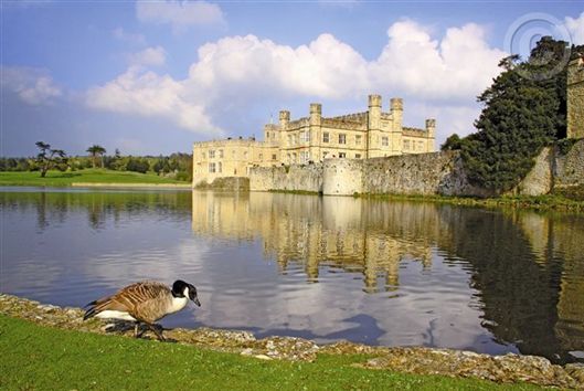 Click for large image