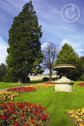 Click for large image