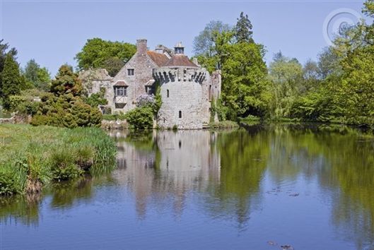 Click for large image