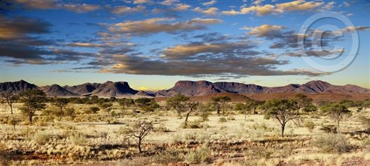 Click for large image