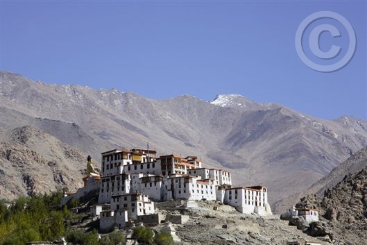 Click for large image