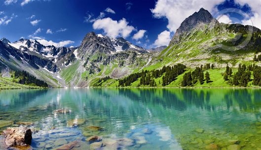 Click for large image