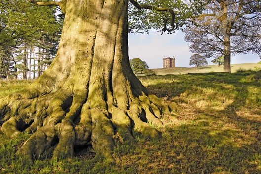 Click for large image