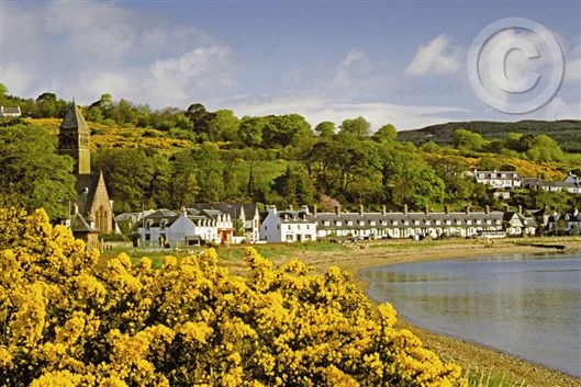 Click for large image