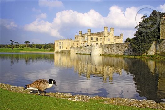 Click for large image