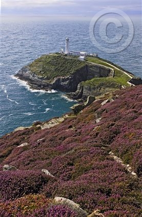 Click for large image