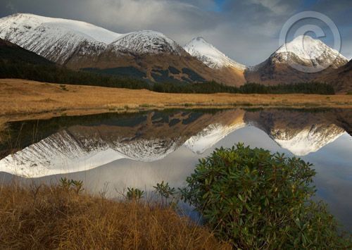 Click for large image