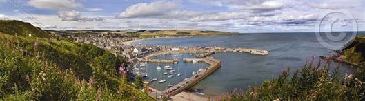 Click for large image