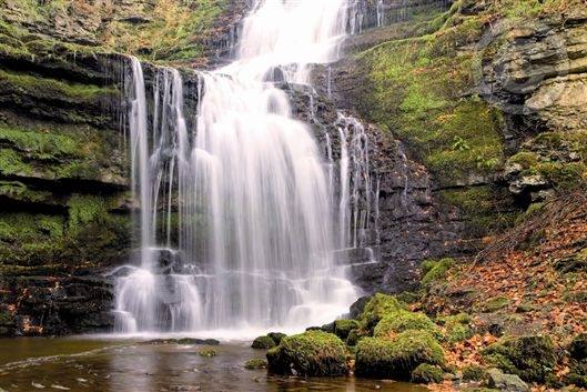 Click for large image