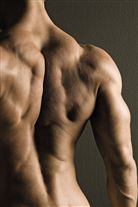 Click for large image