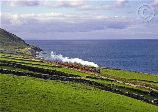 Click for large image