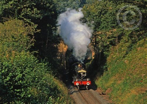 Click for large image